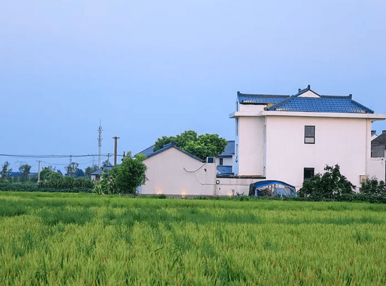宅基地继承纠纷
