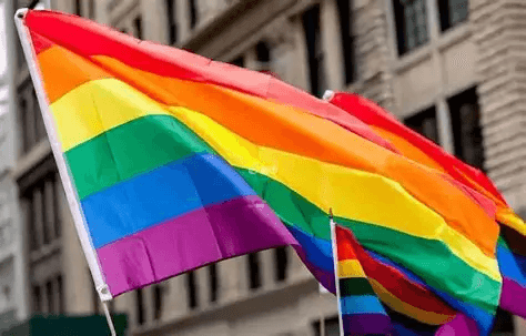 LGBTQ+ 群体意定监护